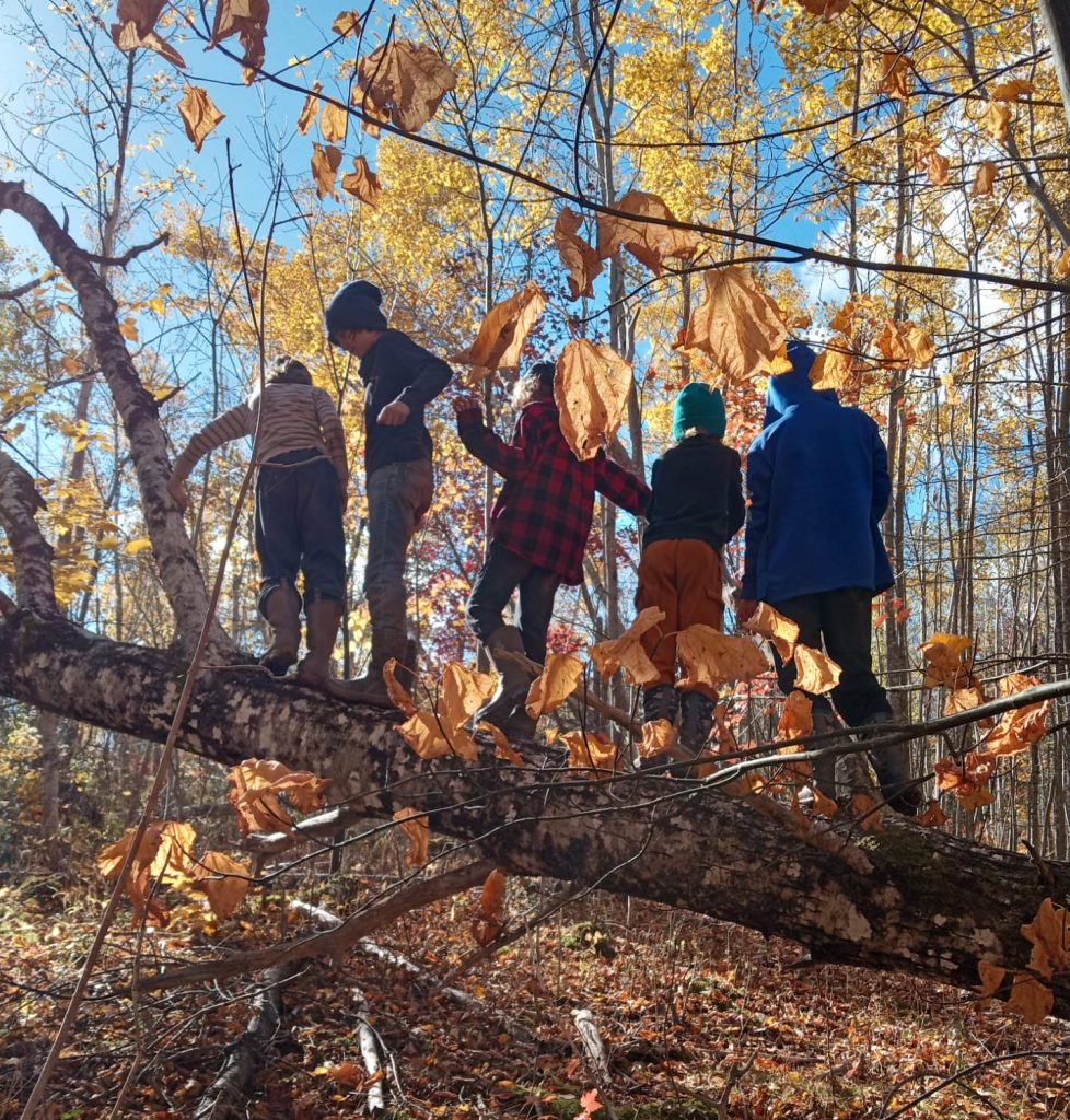 children balancing on a fallen tree